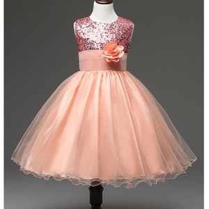 Pink Sequin Organza Flower Girl Dress